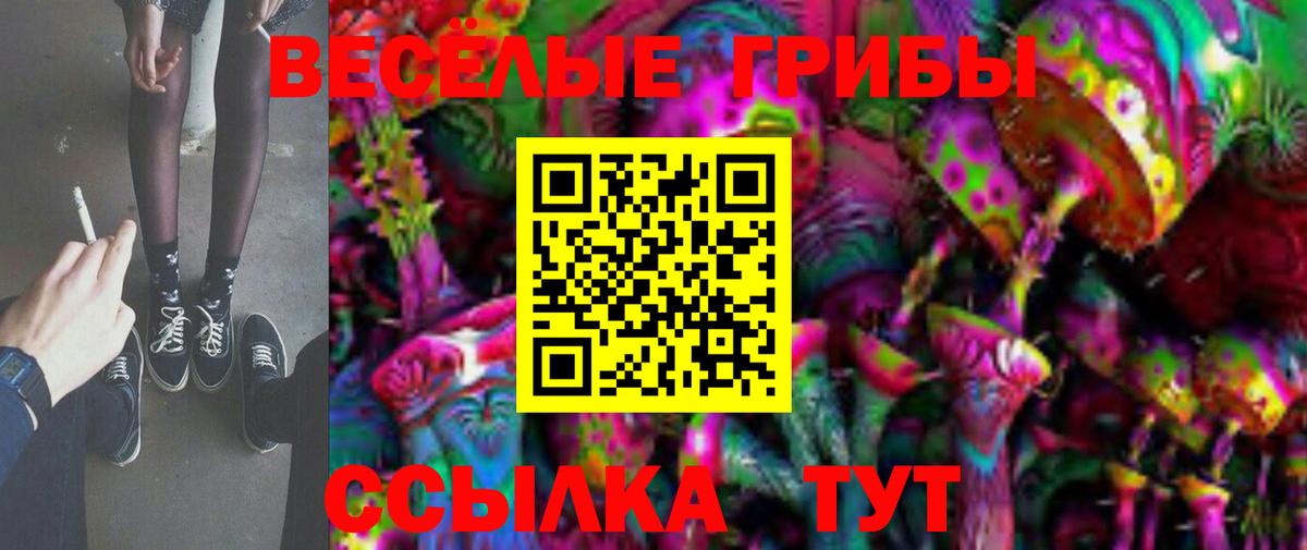 Нововоронеж  Псилоцибиновые грибы Psilocybine cubensis  Вход с VPN 